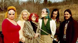 Image result for pink flamingos movie